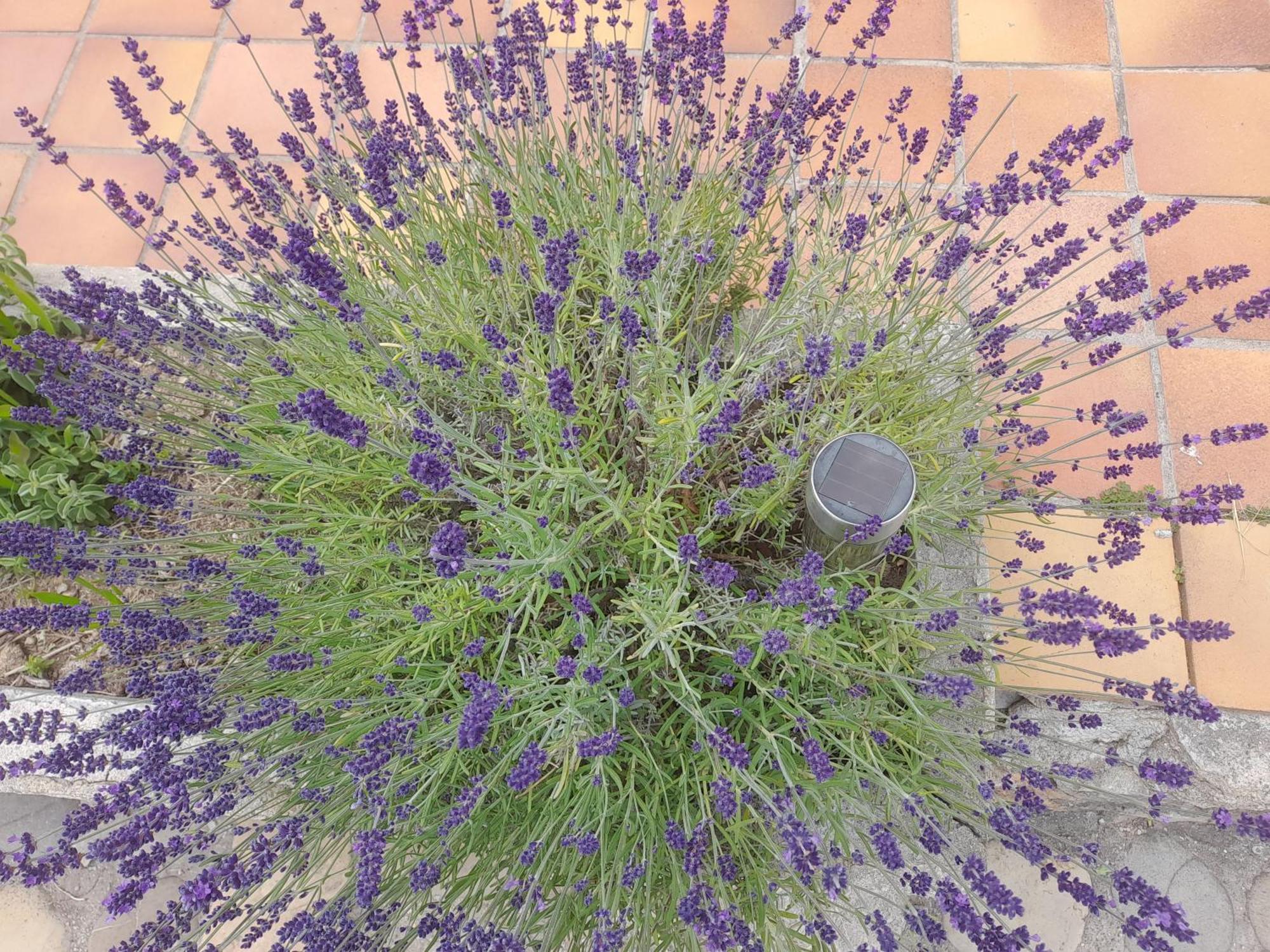 Volx Maison A La Campagne מראה חיצוני תמונה